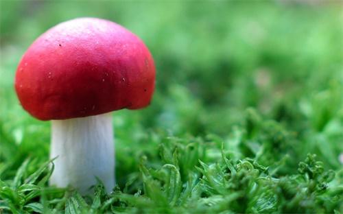怎么p图换背景?轻松换背景,P图就是这么简单